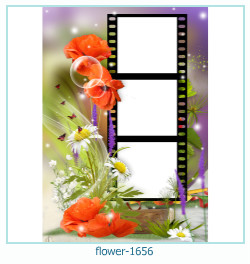 bingkai foto bunga 1656